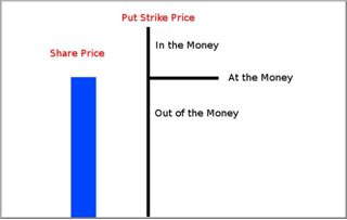 Put Options Example